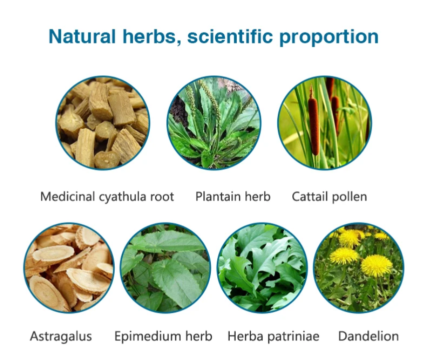 🌿 PROSTATE HEALTHY TEA